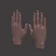 9.png HUMAN HAND SCANED