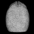 13.jpg ALIEN EGG OVOMORPH 1979 FLAT BOTTOM