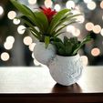 PhotoRoom_20230804_132330.jpg Unique Vase Shelf Decor Flower Pot Decoration Exquisite Gift Masterpiece for Your Home Decor Living Room Lovers Home Beauty