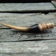 fang 2.jpg Basilisk Fang - Harry Potter