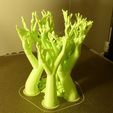 MINI-BONSAI-BUIS-02-5.jpg МИНИ БОНСАЙ САМШИТ 02