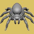 Tarantula-Spider-Articulated2.jpg TARANTULA ARTICULATED