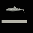 am-bait-pstruh-12cm-9.png 2x AM bait fish 12cm / 16cm hoof form for predator fishing
