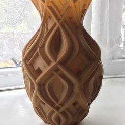 IMG_5862 (2).jpg Download STL file Alien curve vase • 3D printing model, Brithawkes