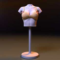 00.png Cultstoria's Secret - Bra V1