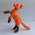 1621685037555.jpg Fox BJD