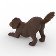 bbb2.jpg Playful Barbet Dog Figure 1/32 Scale for Slot Car Dioramas