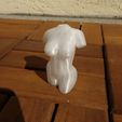 20d5194e5d8e1c4ce8b649b15f19a6e2_display_large.jpg Free STL file woman torso sculpture, nude・3D print model to download