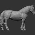 Percheron7.jpg Caballo percherón Modelo de impresión 3D