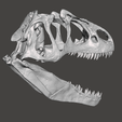 Screenshot-45.png Allosaurus dinosaur skull