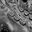 16.jpg 3D PRINTABLE MYTHOSAUR SKULL AND HORNS PACK - THE MANDALORIAN STAR WARS - HIGHLY DETAILED