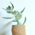 WAVE_FRONT_PLANT.jpg SET OF 4 MINIMAL PLANT POTS FOR SUCCULENTS AND CACTI READY TO BE PRINTED ON WOOD PLA