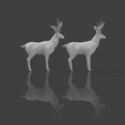 2.png low poly deer