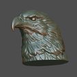 10.jpg Eagle