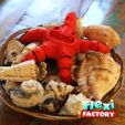 Flexi Starfish 10.jpg STL file Cute Flexi Print-in-Place Starfish・Model to download and 3D print