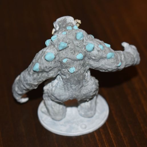 DSC_0365.jpg Snow Troll