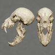 0000.jpg Werewolf Skull2
