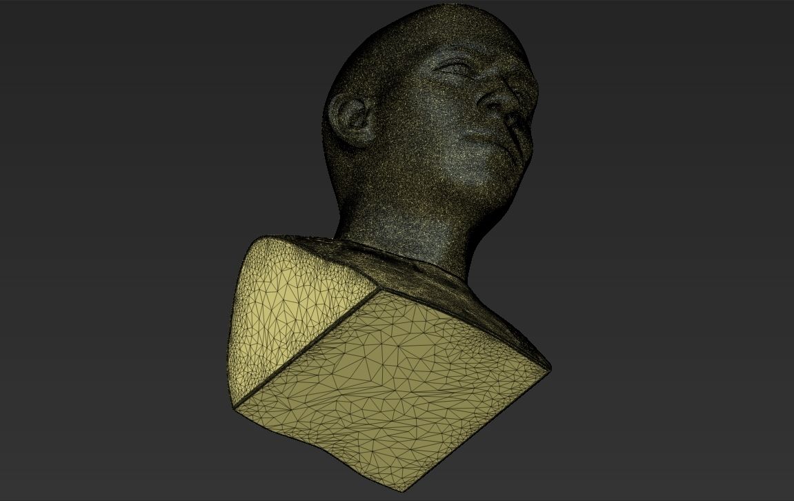 27.jpg 3D file Ronaldo Nazario Brazil bust 3D printing ready stl obj formats・3D printable model to download, PrintedReality