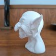 4.jpg GOBLIN BUST