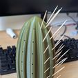 PXL_20250615_074319888.PORTRAIT.jpg Cactus toothpick holder
