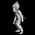 VV4.jpg DRAGON BALL MAJIN VEGETA DRAGON BALL Z