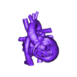 heartafterfotanprocedure.obj 3D Model of Heart after Fontan Procedure