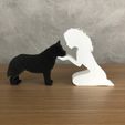 WhatsApp-Image-2023-01-07-at-13.46.04-1.jpeg Girl and her Siberian Husky (wavy hair) for 3D printer or laser cut