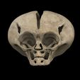 untitled.41.jpg Alien skull