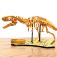 acro_-pic5.jpg [3Dino Puzzle] Acrocanthosaurus