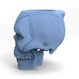 0_2.jpg Deadpool Skull Matte for 3d printing