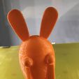 51825415645_8FE1D72D-BFD4-45B1-86C4-1CBA01EC2164.JPG Raving Rabbids  (Les Lapins Cretins)