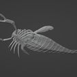 Jaekelopterus3D_04.jpg Sea scorpion (Jaekelopterus rhenaniae)