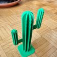 3.jpg Cactus decoration - Support Bague