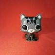 133635286_4846016905468515_5687569340350693754_o.jpg funko cat gato