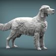 English-Setter4.jpg English Setter 3D print model