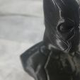 20181228_192624.jpg Black Panther bust