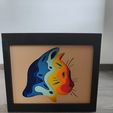 IMG20230702143856.jpg Caja de sombras de gato (A)
