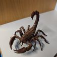 1693467044941.jpg Scorpion inspired by ARK survival evolved