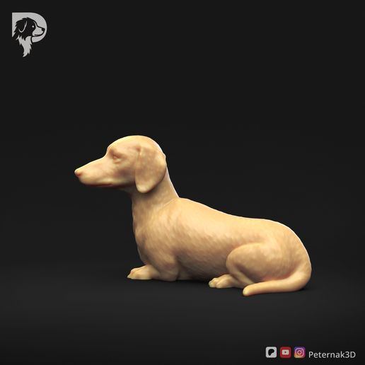 Dachshund-Smooth-Haired-Pose-09-Dog-3D-Print-8s.jpeg Teckel à poil lisse Pose 09