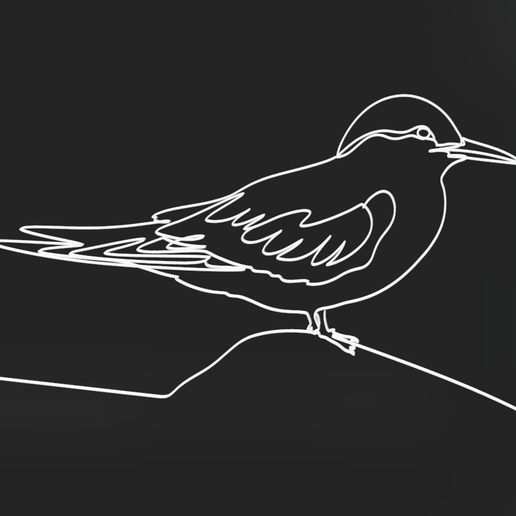 Antarctic Tern 2 lineart 3d printed 3D model preview