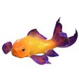 0.jpg GOLDFISH Guppy Blue Grass FISH TOAD AMPHIBIAN TADPOLE ANIMAL ANATOMY 3D MODEL WATER OCEAN RIVER BOAT SALMON SHARK