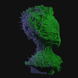 vid0137.png Alien Insectoid Bust