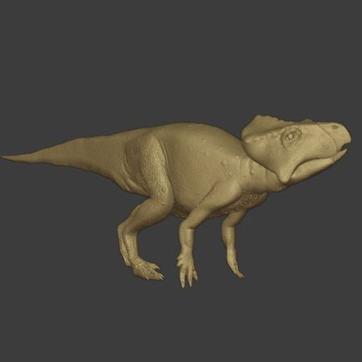 Download STL file Microceratops/Graciliceratops All Fours • 3D ...