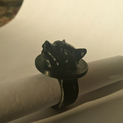 Rocket Raccoon ring for Eliza