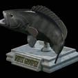 White-grouper-open-mouth-1-15.png fish white grouper / Epinephelus aeneus trophy statue detailed texture for 3d printing