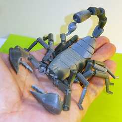 Capture_d_e_cran_2016-08-19_a__19.28.05_large.png Fichier STL gratuit Scorpion - Scorpio-・Modèle à télécharger et à imprimer en 3D
