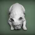 French-Bulldog3.jpg French Bulldog 3D print model