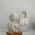 IMG_9040.jpg Maneki Neko Buff Lucky Cat