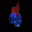IMG_0663.jpeg Yondu skull
