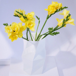 large_Capture_d__cran_2014-12-17___12.27.35.png 3D file Beautiful geometric vase・3D printer model to download